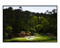 <a href=http://www.simonbruty.com>Copyright 2010 Simon Bruty</a>